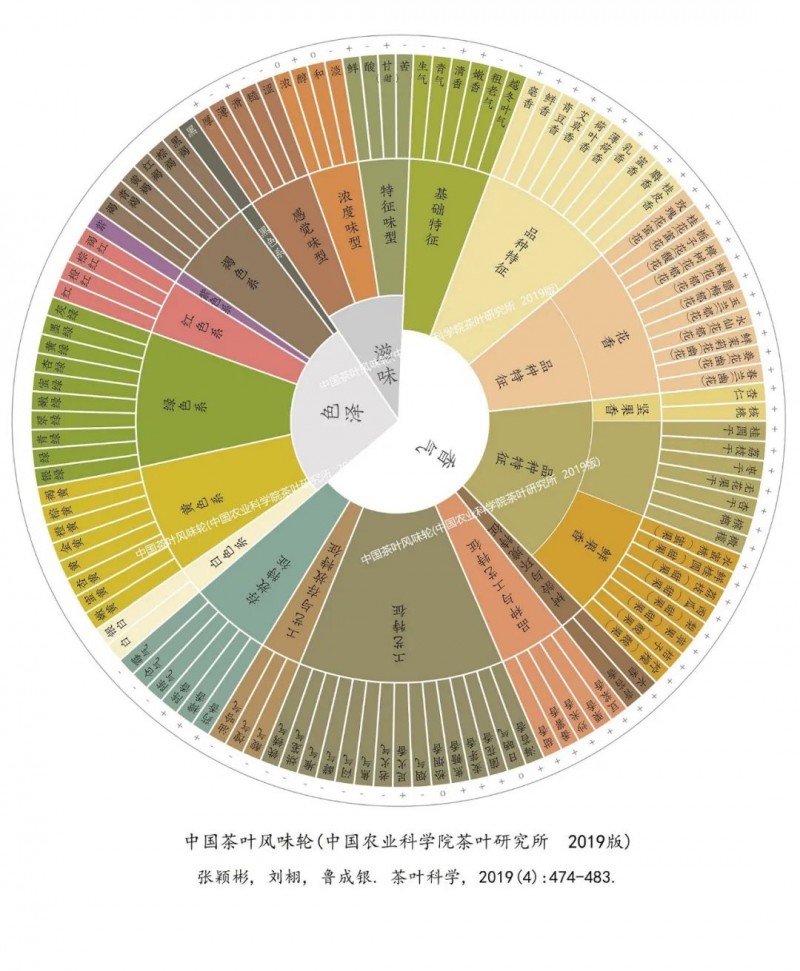 感官評價(jià) 中國茶葉風(fēng)味輪