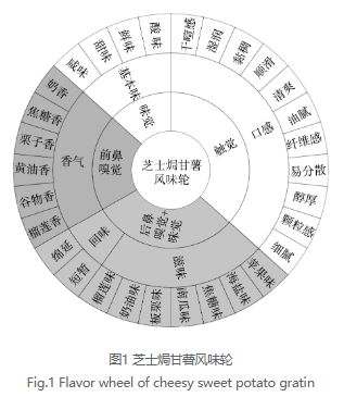 芝士焗甘薯风味轮建立与感官特征解析