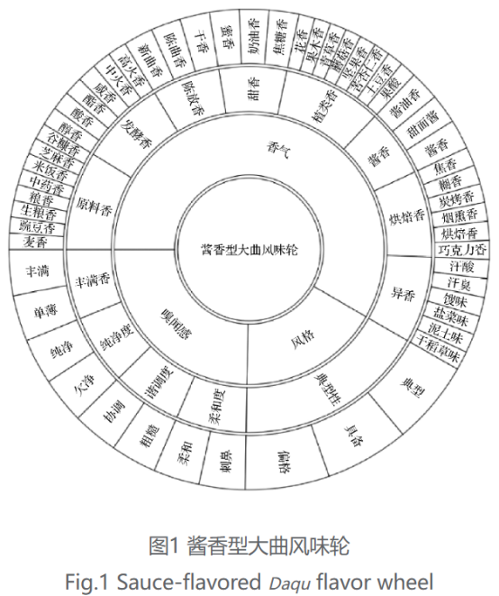 酱香型大曲感官风味轮的构建及分析